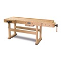 Holzkraft HB 2010 - Profesjonalna strugnica